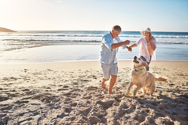 Attain on 5th apartment homes with A couple plays with a golden retriever on a sandy beach by the ocean under a clear sky.