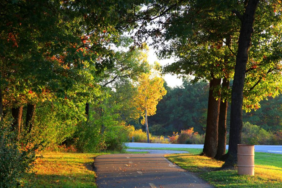Attain at Chic's Beach with A paved path curves through a sunlit park with green trees and scattered autumn leaves.