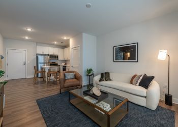 Attain on 5th apartment homes with Modern living room with a sofa, armchair, coffee table, and open kitchen in a bright apartment.