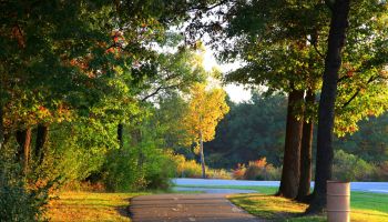Back Bay National Wildlife Refuge
